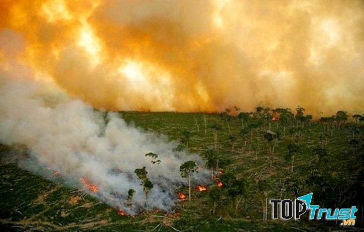 Số người thiệt mạng/năm do biến đổi khí hậu ở Indonesia là 150.000 người