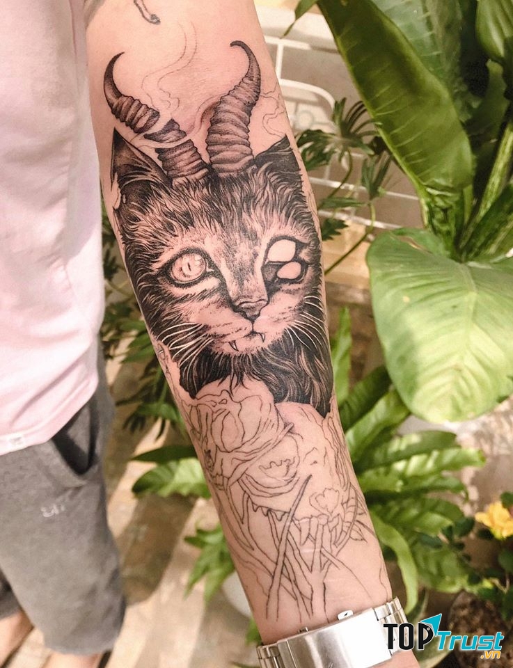 Ink22