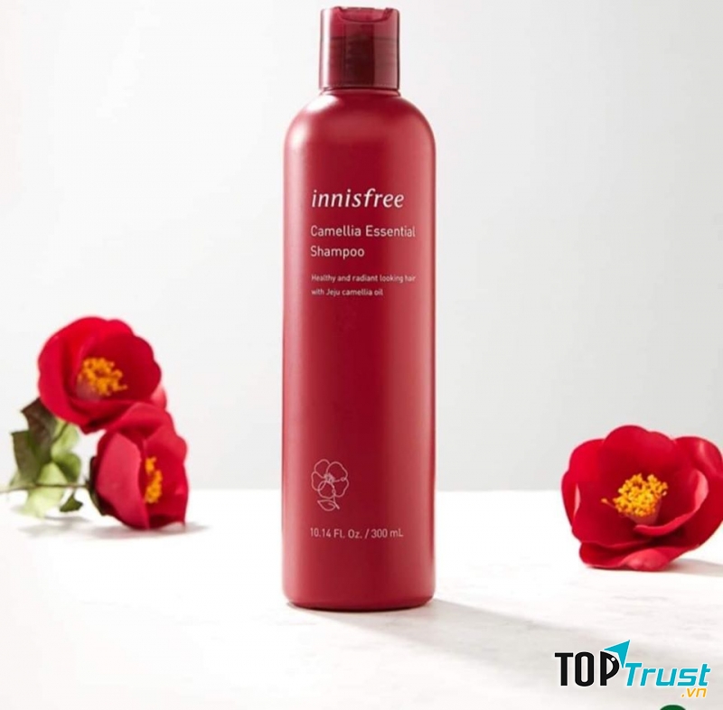 Innisfree Camellia Essential Shampoo