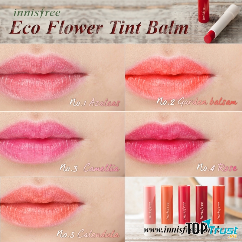 bảng 5 màu son cực yêu