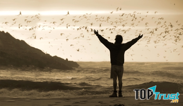 Into the Wild (2007)