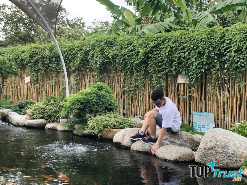 Iokkoi Coffee - Zen Garden