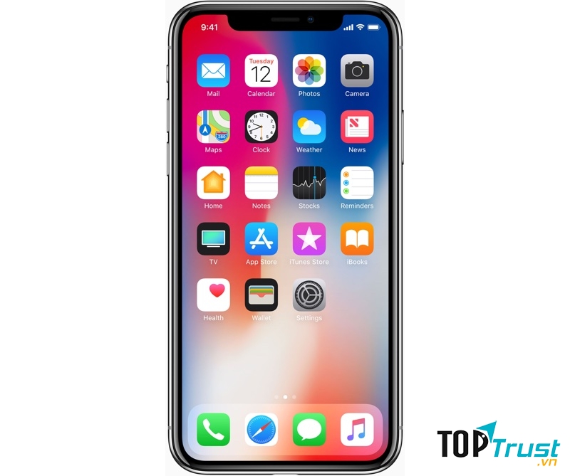 iPhone X