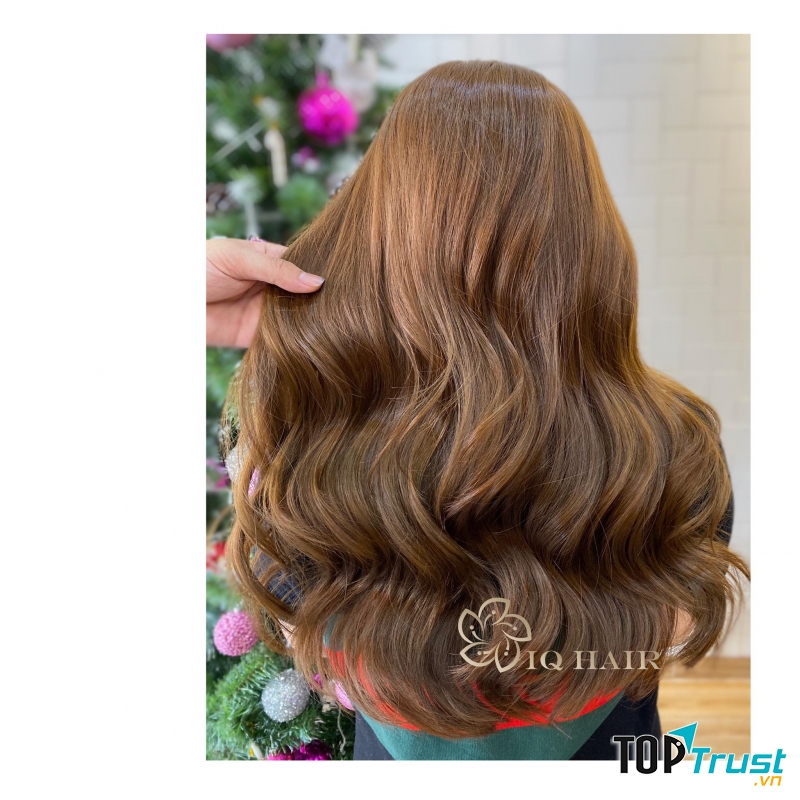 IQ Hair Salon