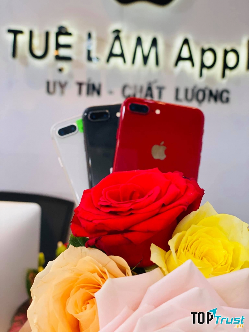 Tuệ Lâm Apple