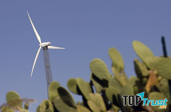 Sản xuất điện từ năng lượng gió vừa là cơ hội và cũng là thách thức đối với Italia