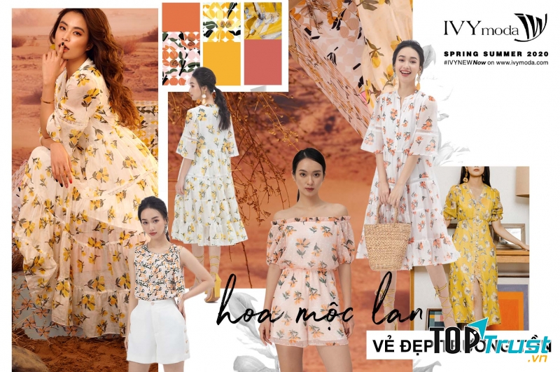 Ivy Moda