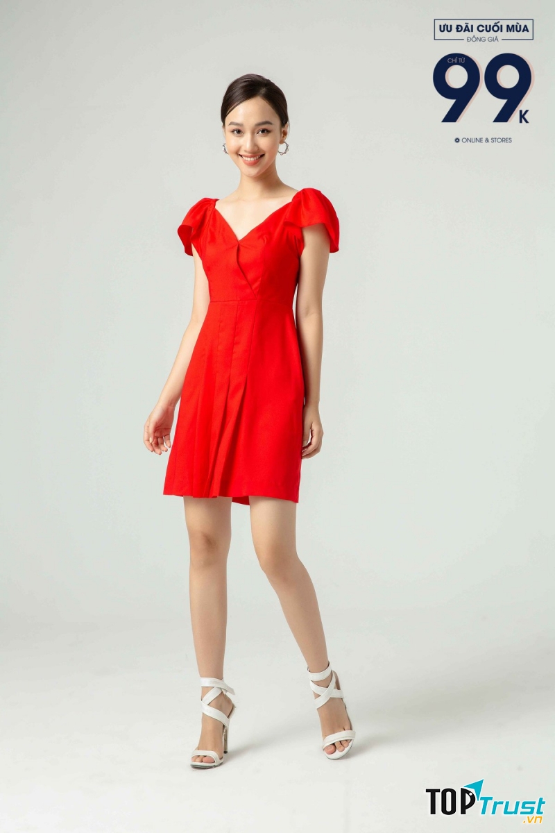 IVY moda