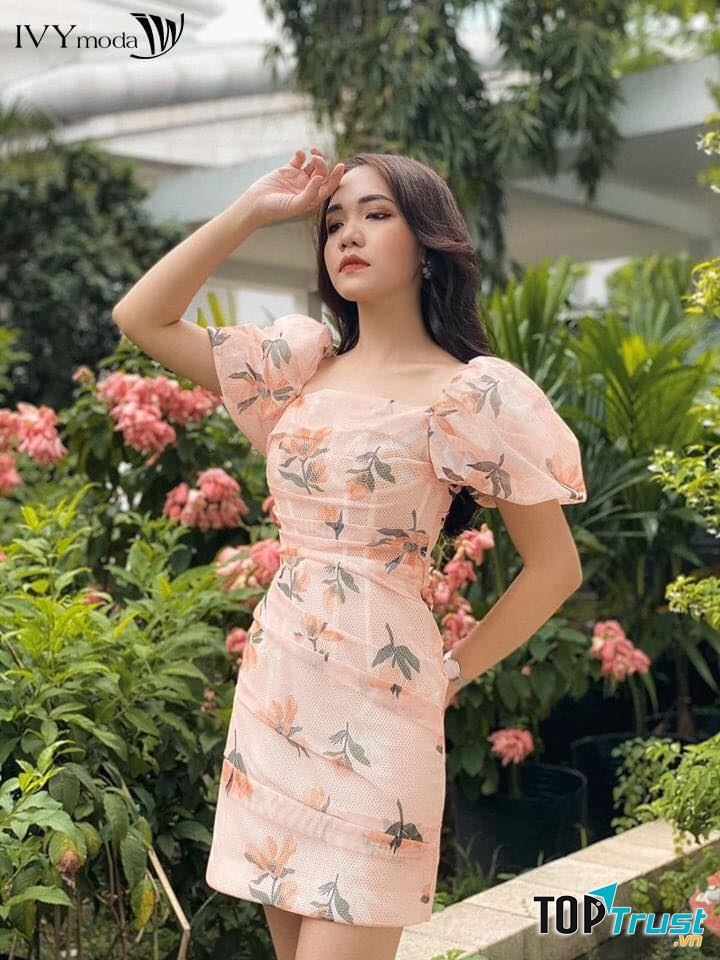 Ivy Moda