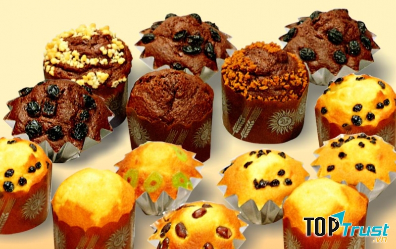 Jcat – Cá Hồi Đút Lò