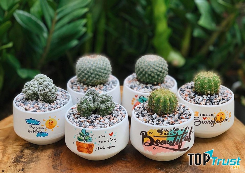 Joy Garden