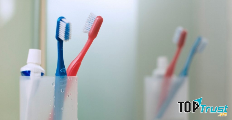 Kệ treo bàn chải đánh răng dễ mang mầm bệnh