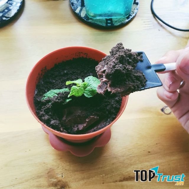Kem bánh chậu cây rất giống chậu cây thật