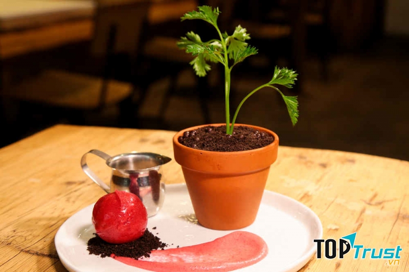 Kem bánh chậu cây