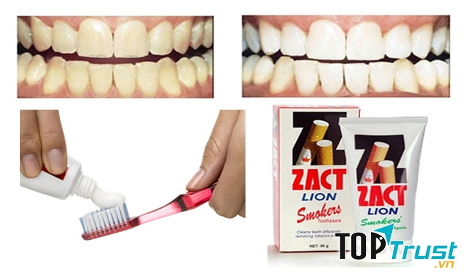 Zact Lion làm sạch và trắng răng gấp 2,5 lần kem đánh răng thông thường. Do đó, đặc biệt phù hợp và thích hợp cho những người hút thuốc với bộ răng ố vàng vì khói và mảng bám