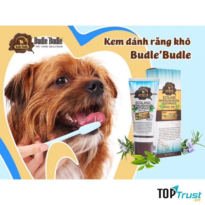 Kem Đánh Răng Khô Cho Chó Mèo Budle'Budle còn góp phần chống lại các chứng bệnh về nứu đồng thời kiểm soát mùi hôi miệng của thú cưng.