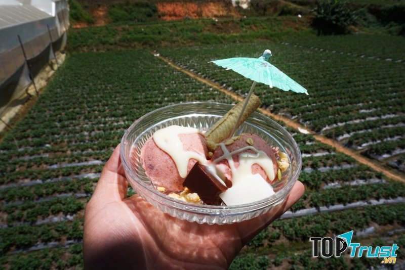 Thưởng thức một ly kem mát lành, ngồi ngắm vườn dâu thì còn gì tuyệt hơn!