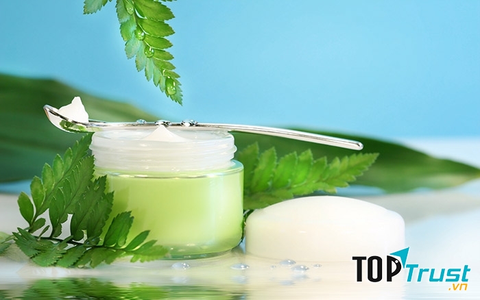 Kem dầu trà dưỡng ẩm dành cho da mụn
