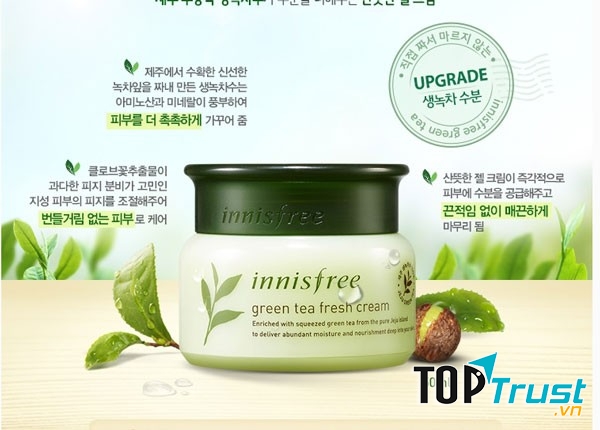 Kem dưỡng ẩm Innisfree Green tea Fresh Skin