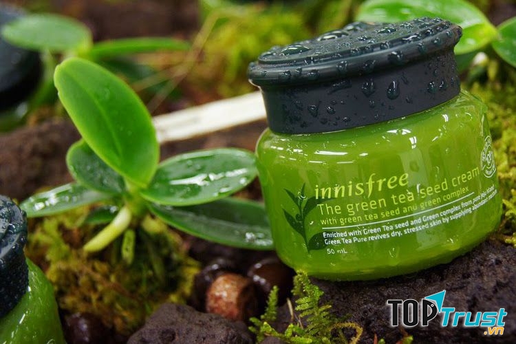 Kem dưỡng da chiết xuất trà xanh tự nhiên INNISFREE