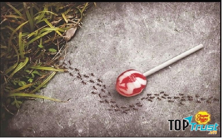Kẹo mút Chupa Chups không đường - đến kiến cũng phải bỏ qua