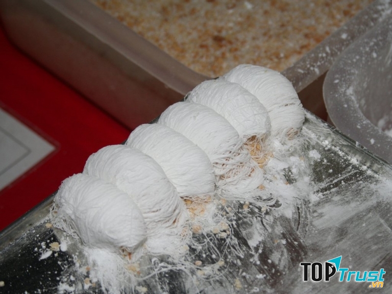 Kẹo râu rồng hay kẹo chỉ  (Trung Quốc)
