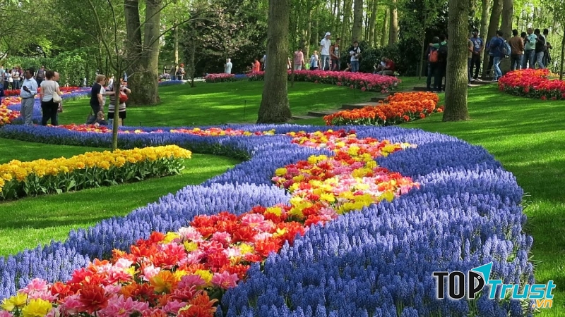 Bạn có thể đi dạo bằng xe đạp trong công viên trong lành và ngát hương hoa