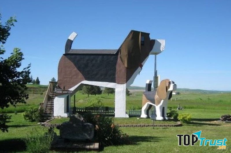 Khách sạn Dog Bark Inn - Idaho, Mỹ