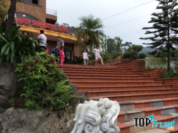 Khách sạn Hương Rừng