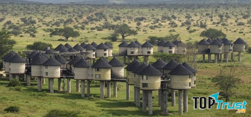 Khách sạn Sarova Saltlick Game Lodge - Kenya