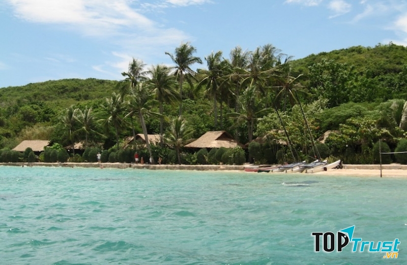Whale Island Resort