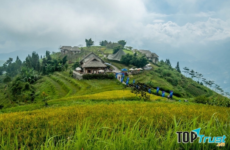 Topas Eco Lodge, Sapa