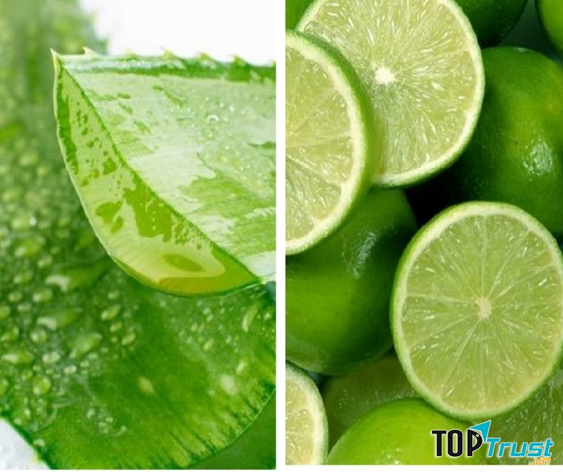 Nha đam có khả năng kháng khuẩn