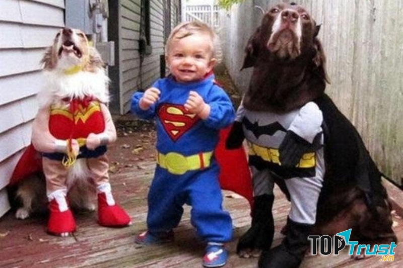 Khi các bé yêu và thú cưng là một đôi cạ cứng.