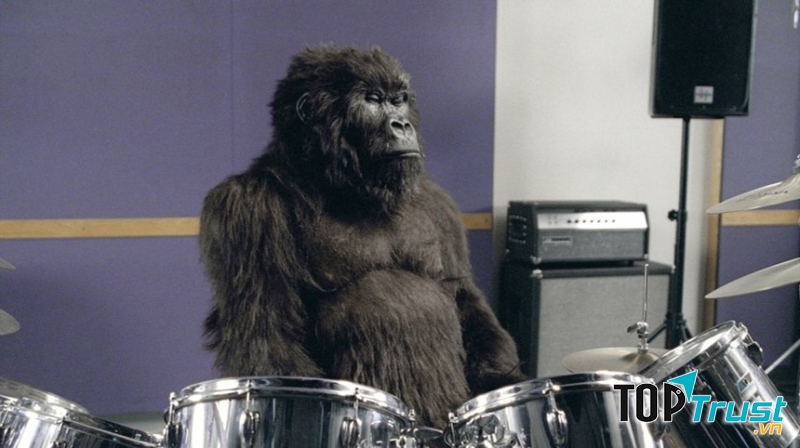 Đúng vậy! Một con khỉ đột đang chơi trống