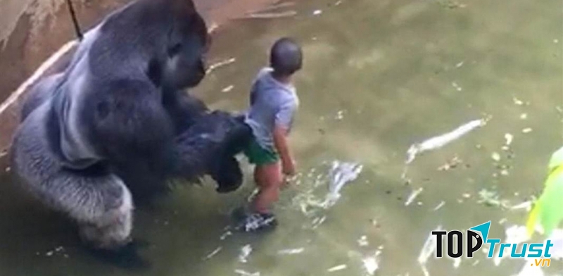 Ảnh minh họa (Nguồn Internet)