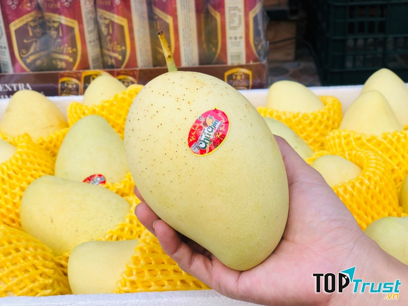 Kho hoa quả sạch One Fruit