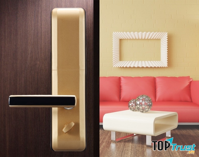 Khóa vân tay Dessmann S510 Yellow (mặt sau)