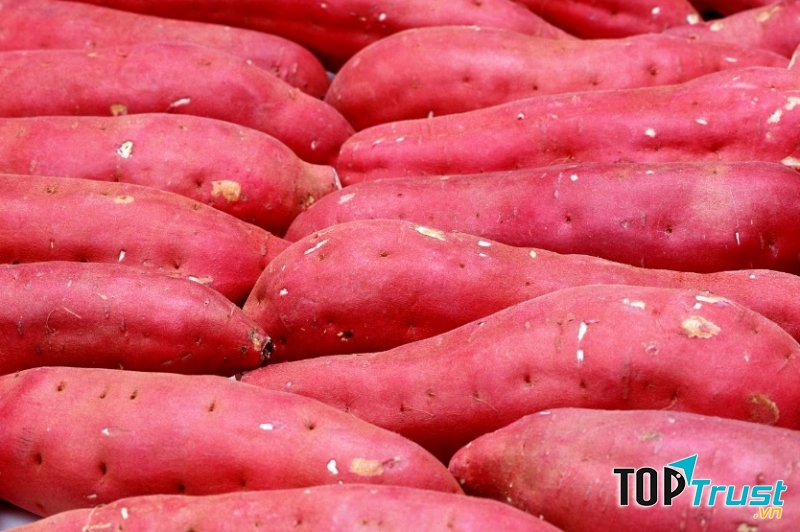 Khoai lang có tác dụng phòng ngừa và điều trị bệnh táo bón hiệu quả