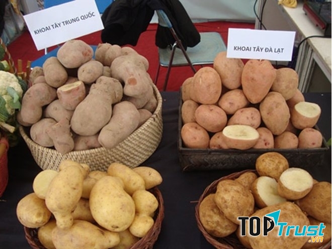 Phân biệt giữa khoai tây Trung Quốc và khoai tây Đà Lạt