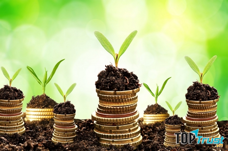Đầu tư để tạo ra nhiều tiền hơn