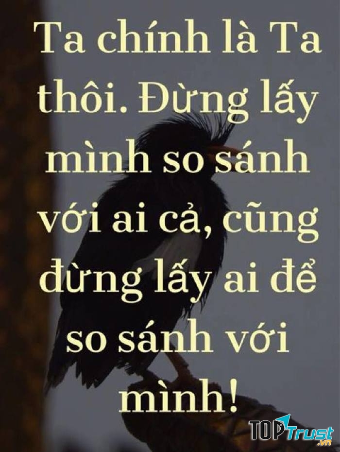 Việc so sánh sẽ không giúp bạn giải quyết được vấn đề.