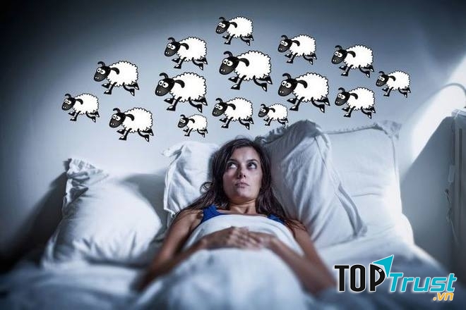 Không đếm cừu khi ngủ