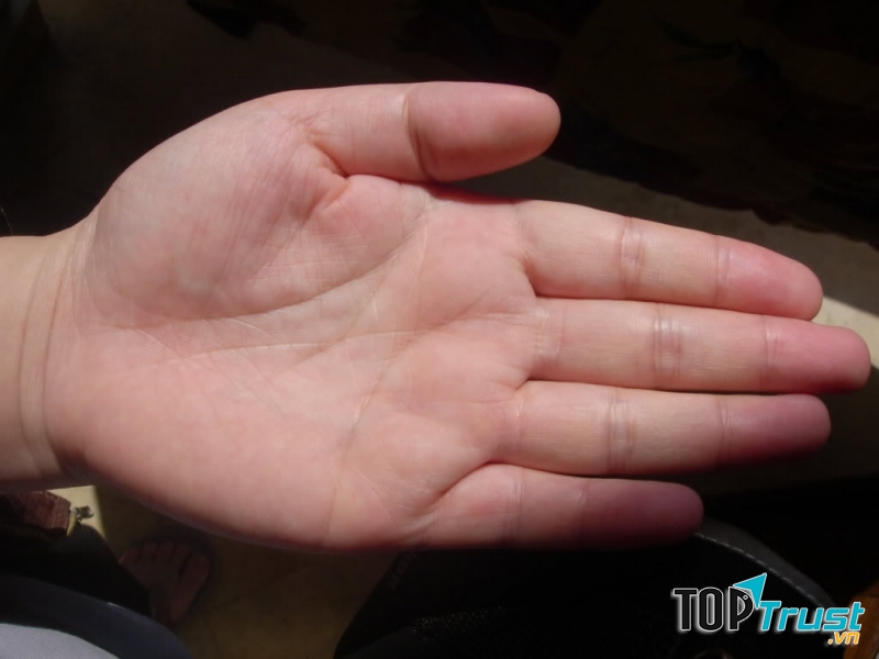 Tay trái gắn liền với vệ sinh cá nhân