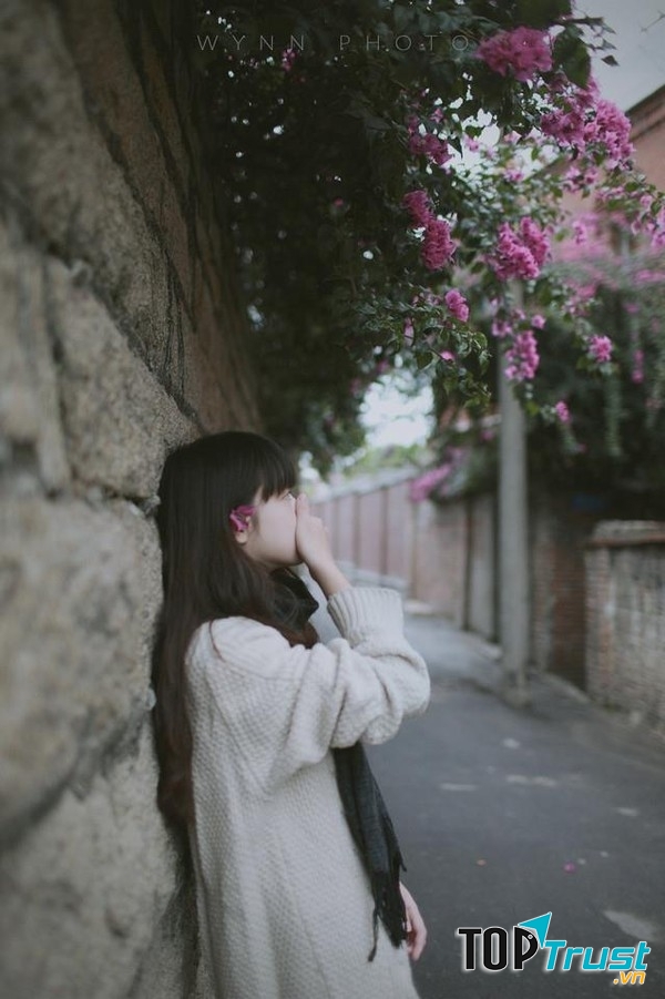 Không hỏi lí do vì sao