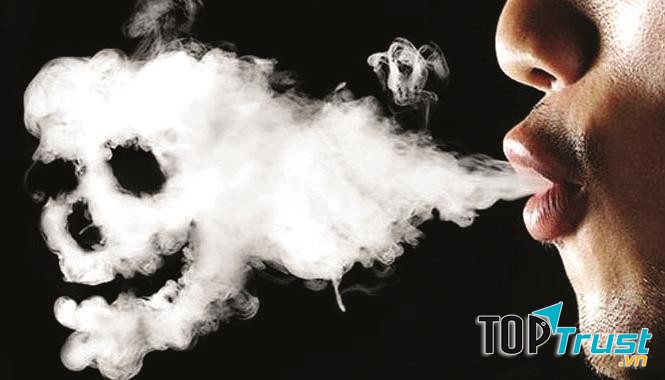Khói thuốc lá chứa hơn 7.000 chất, phần lớn là các chất độc hại.