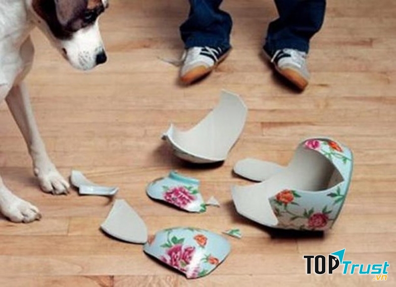 Không làm đổ vỡ đồ dùng