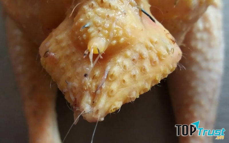 Ảnh tự chụp
