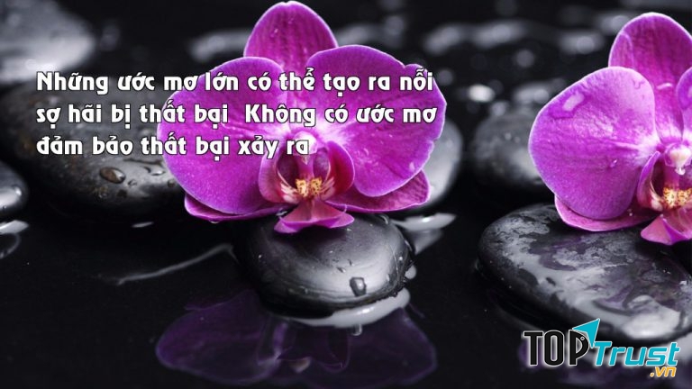 Hãy luôn tìm kiếm, khao khát và ước mơ