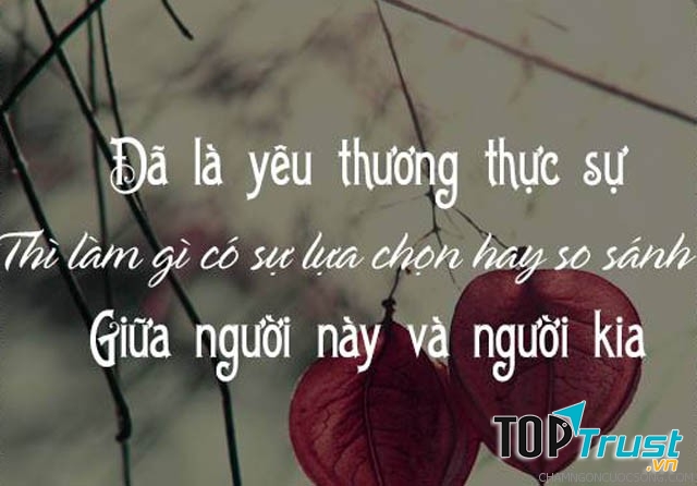 Sự so sánh làm mất giá trị của tình yêu